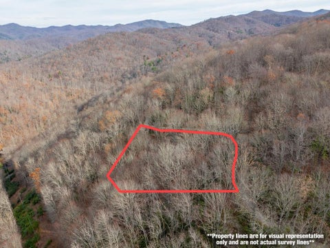 Vacant Land For Sale - LOT 5 Mountain Tabor<br/> Topton, NC 28781