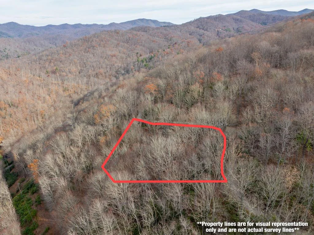 Lot 5 Mountain Tabor