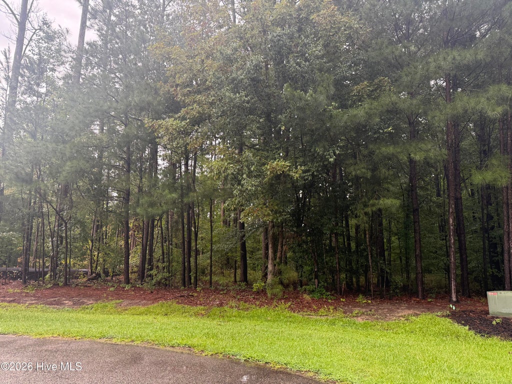 Photo of 31 Bennetts Creek Drive Drive, Hertford, NC 27944 (MLS # 100590575)