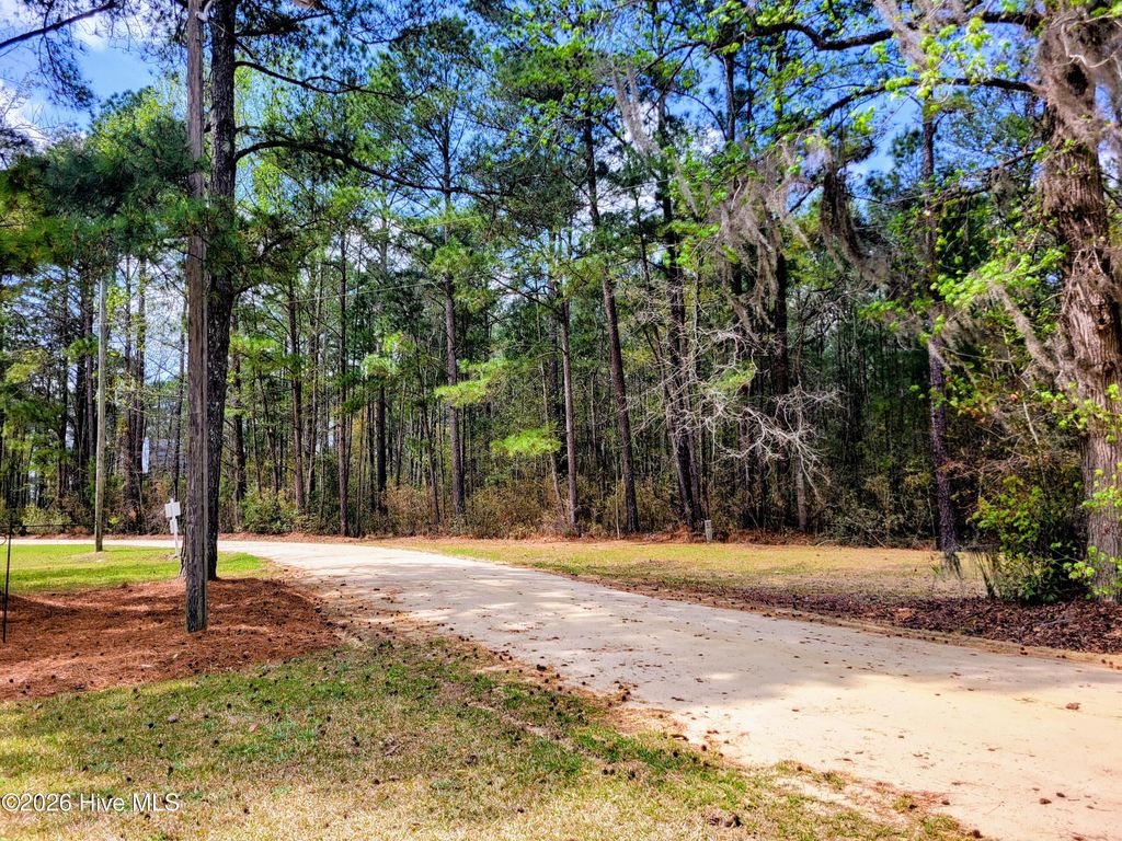 Photo of 74 Woodlief Drive, White Lake, NC 28337 (MLS # 100562998)