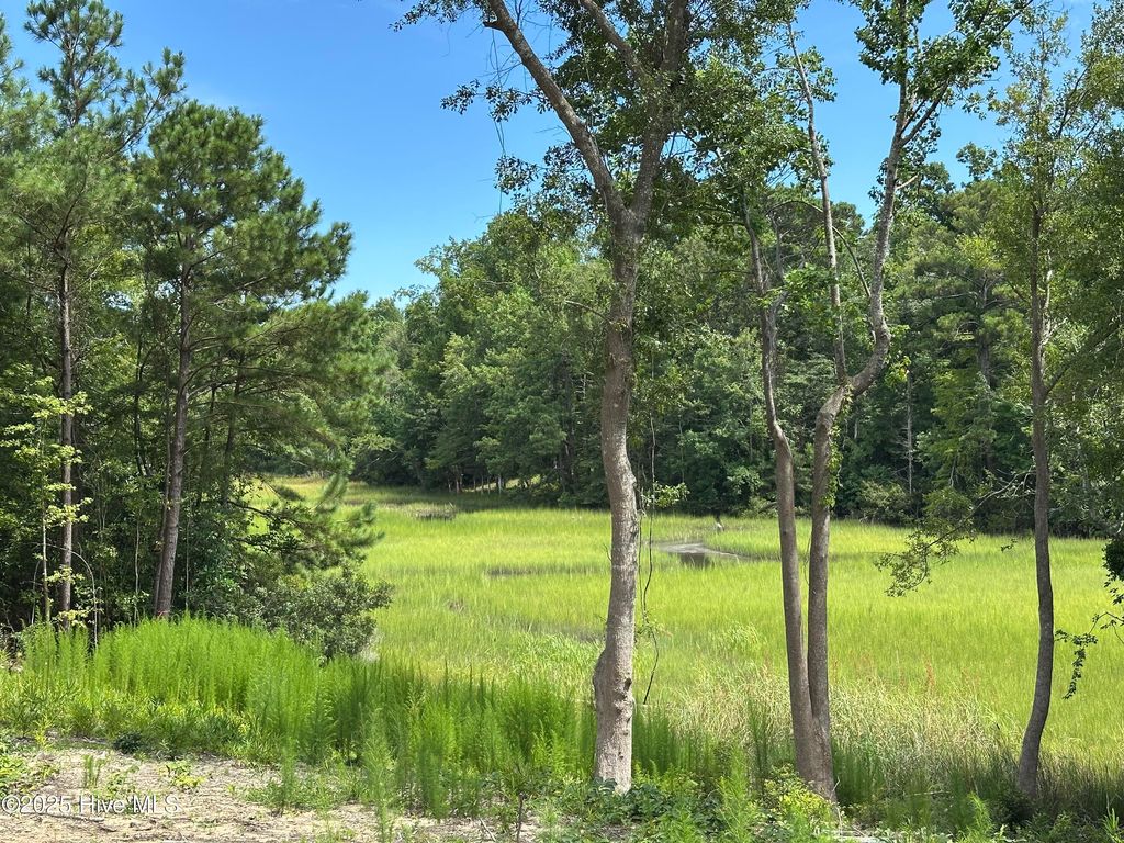 Photo of 1 Williams Store Rd Road, Hampstead, NC 28443 (MLS # 100484662)