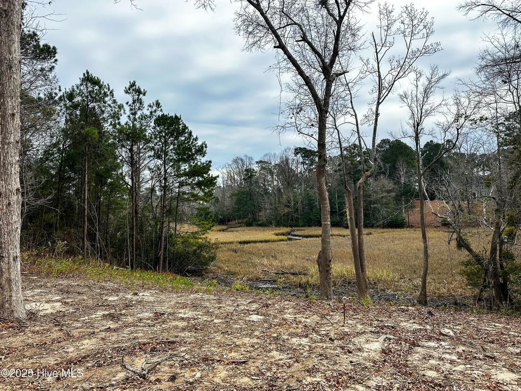 Photo of 1 Williams Store Rd Road, Hampstead, NC 28443 (MLS # 100484662)