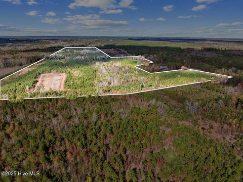 Vacant Land For Sale - 7399 Burney Road<br/> Bladen County, White Oak, NC 28399