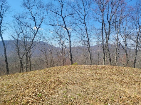 Vacant Land For Sale - SR 1229 Dry Creek<br/> Graham County, Robbinsville, NC 28771
