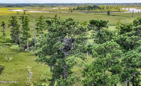 Tiny photo for 1801 Us Highway 421, Wilmington, NC 28401 (MLS # 100593529)