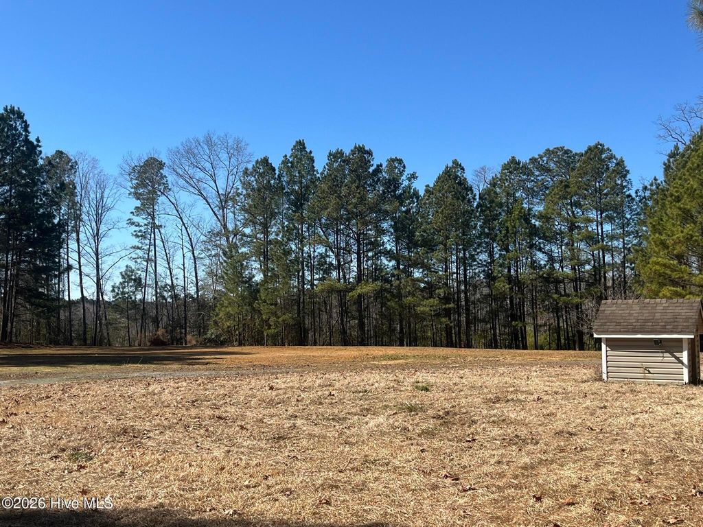 Photo of 290 Thomas Place, West End, NC 27376 (MLS # 100555269)