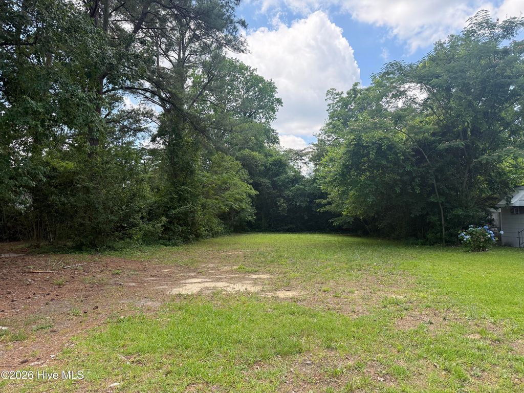 Photo of 1702 Charlotte Avenue, Kinston, NC 28501 (MLS # 100577282)