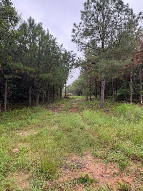Vacant Land For Sale - Highway 23<br/> Waynesboro, GA 30830