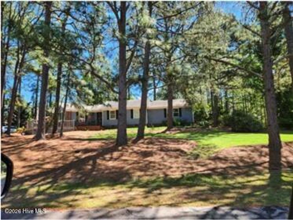 Photo of 156 Shenandoah Road E, West End, NC 27376 (MLS # 100553420)