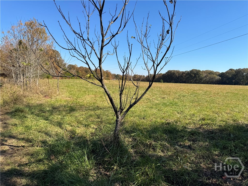 0 Taylor Road Tract 1