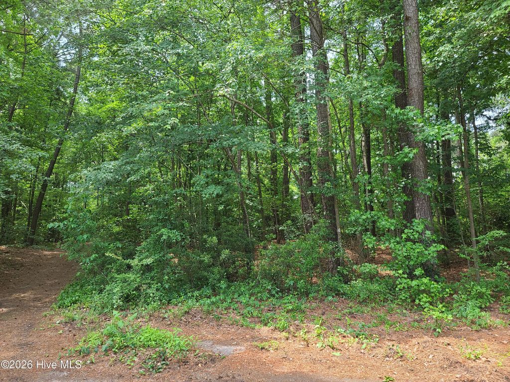 Photo of 5662 Gail Drive, Ayden, NC 28513 (MLS # 100572966)