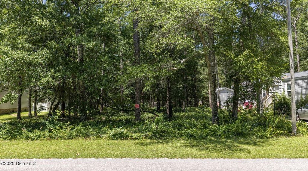Photo of 3457 Dolphin Drive SE, Bolivia, NC 28422 (MLS # 100534894)