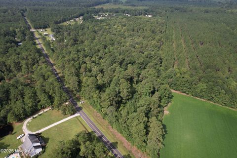 Vacant Land For Sale - 624 Dismal Road<br/> Hallsboro, NC 28442