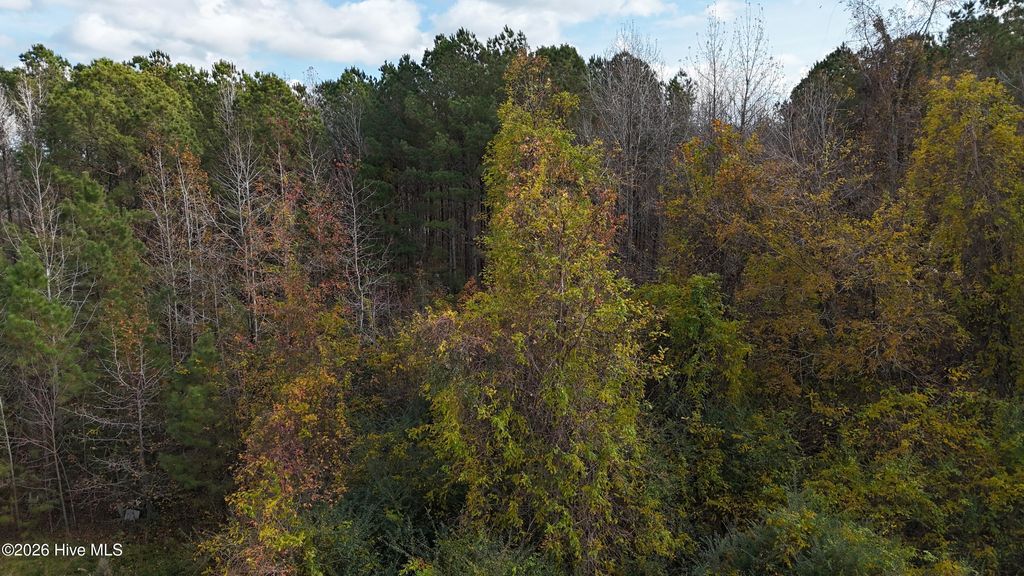 Photo of 0000 Sr 1100, Chocowinity, NC 27817 (MLS # 100548795)
