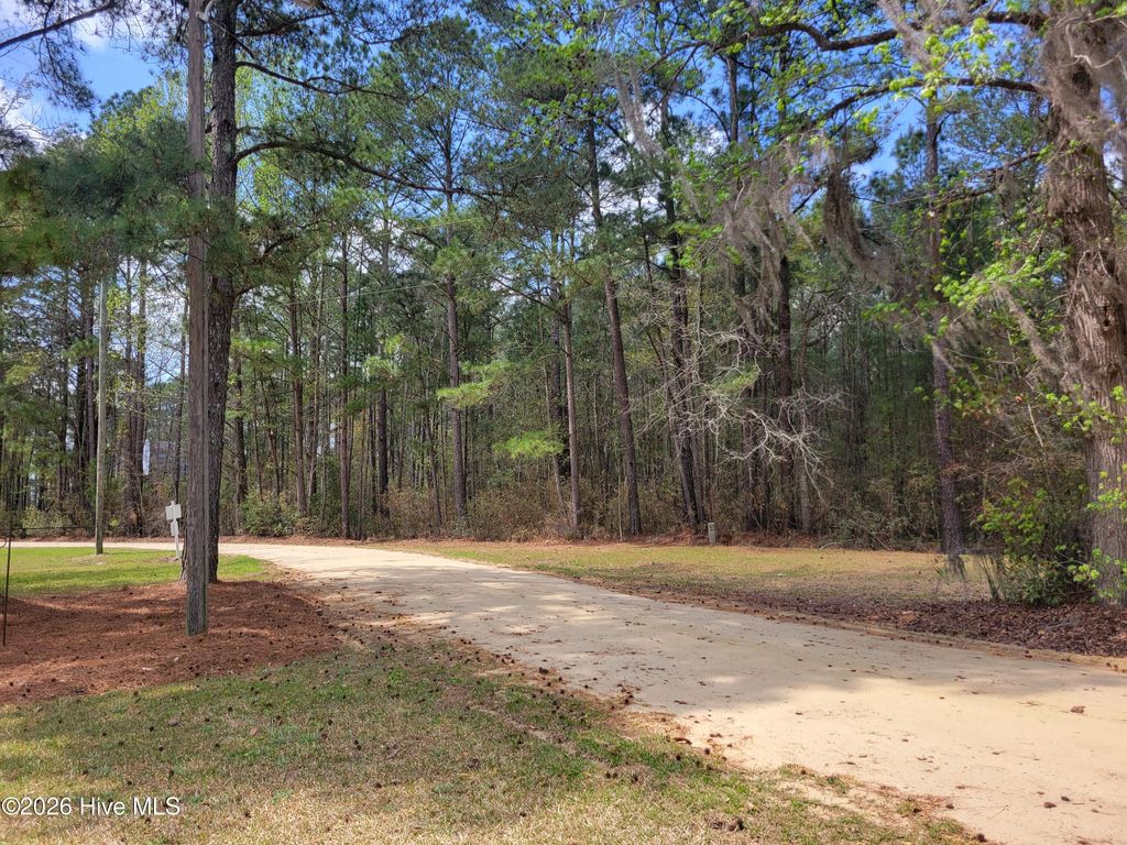 Photo of 78 Woodlief Drive, White Lake, NC 28337 (MLS # 100567503)