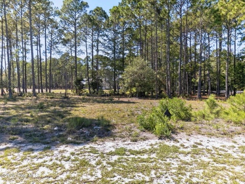 Tiny photo for 6783 Holton Place SW, Ocean Isle Beach, NC 28469 (MLS # 100610335)