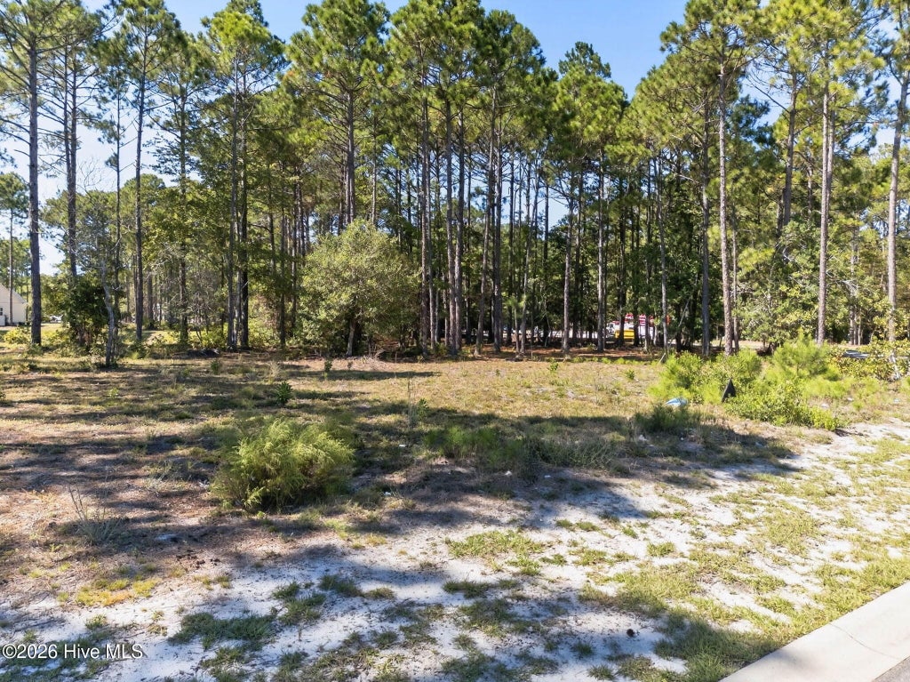 Photo of 6783 Holton Place SW, Ocean Isle Beach, NC 28469 (MLS # 100610335)