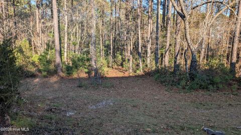 Tiny photo for 314 Livingston Court, Holly Ridge, NC 28445 (MLS # 100543219)