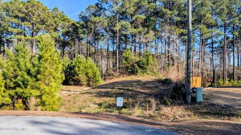 Tiny photo for 314 Livingston Court, Holly Ridge, NC 28445 (MLS # 100543219)