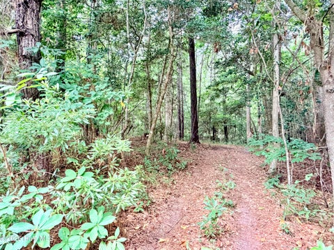 Tiny photo for 6 Grant Circle, Sneads Ferry, NC 28460 (MLS # 100594154)
