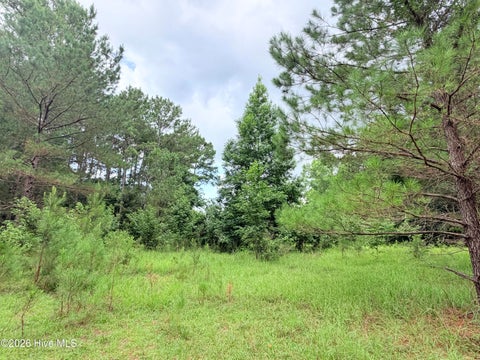 Tiny photo for 6 Grant Circle, Sneads Ferry, NC 28460 (MLS # 100594154)