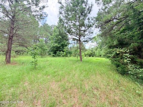 Tiny photo for 6 Grant Circle, Sneads Ferry, NC 28460 (MLS # 100594154)
