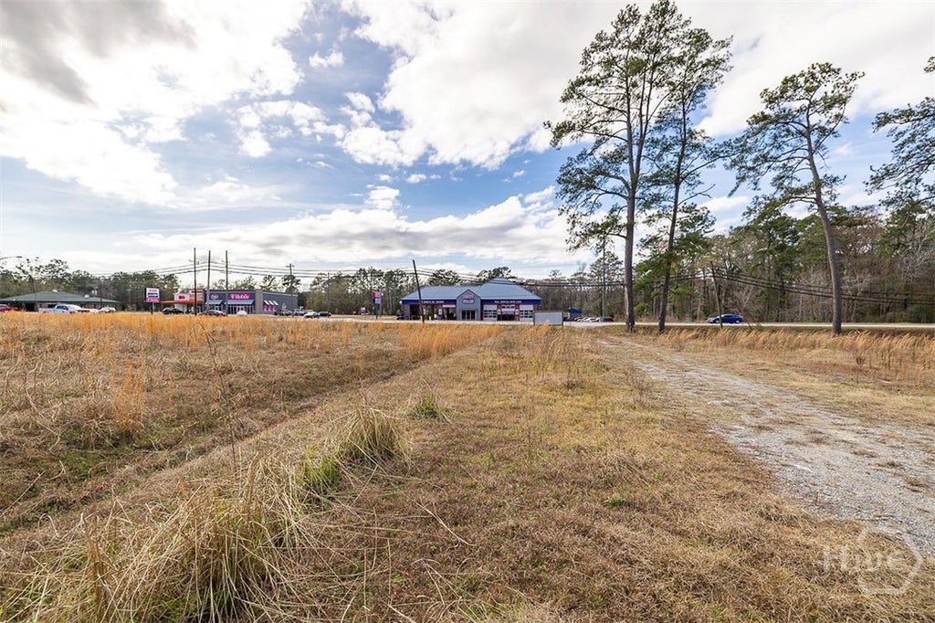 Photo of 250 S Columbia Avenue, Rincon, GA 31326 (MLS # SA362841)