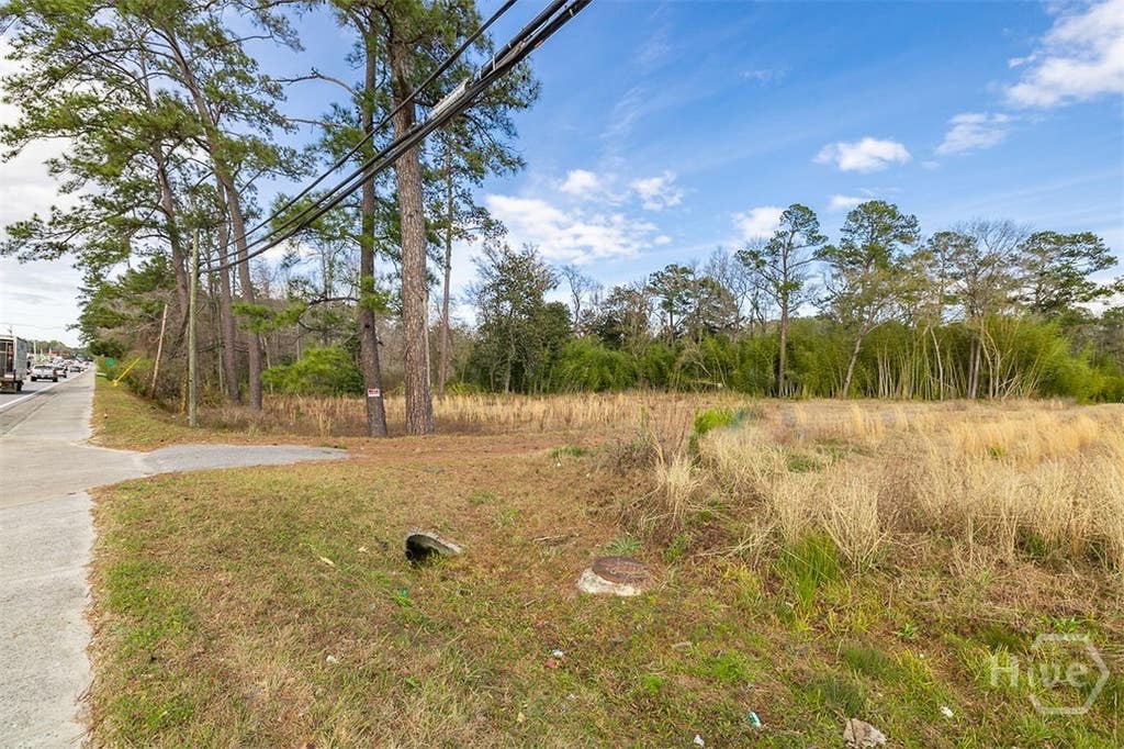 Photo of 250 S Columbia Avenue, Rincon, GA 31326 (MLS # SA362841)