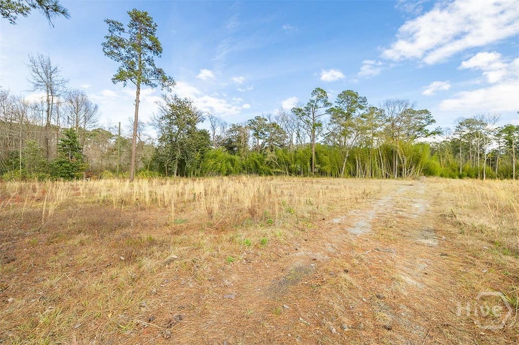 Photo of 250 S Columbia Avenue, Rincon, GA 31326 (MLS # SA362841)