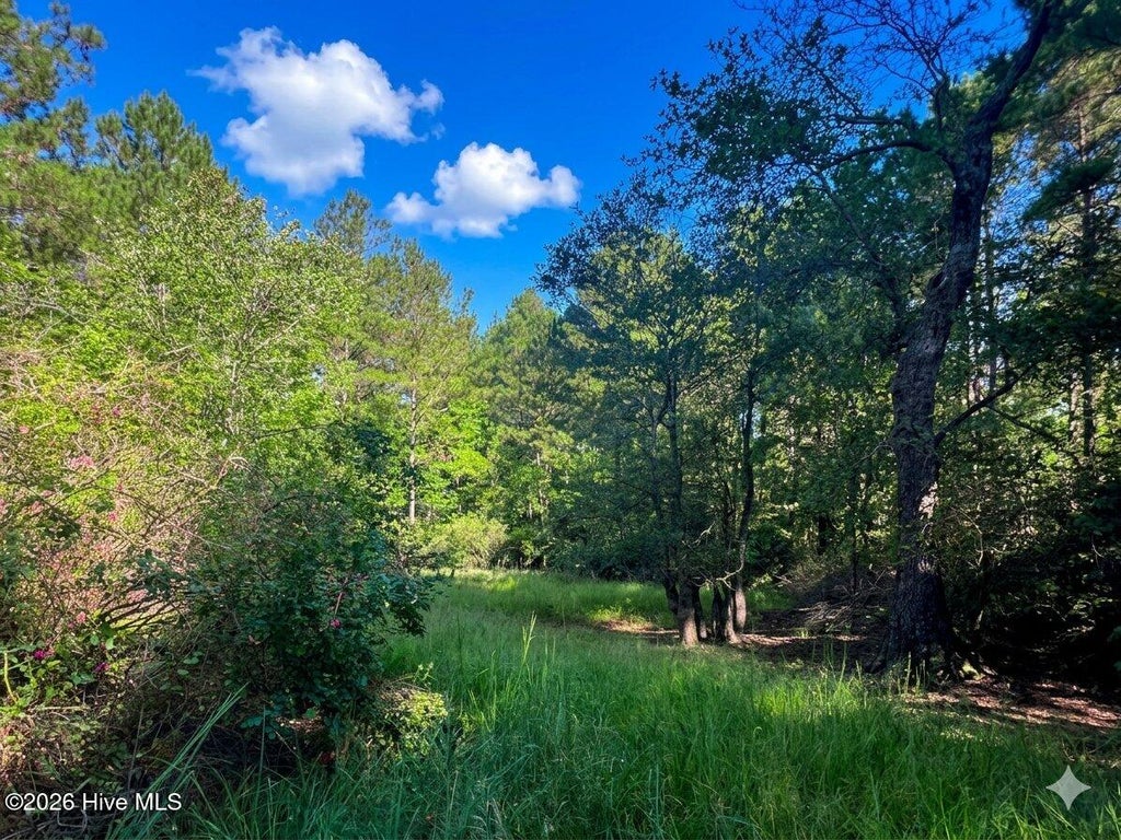 Photo of 0 White Oak River Road, Maysville, NC 28555 (MLS # 100609207)