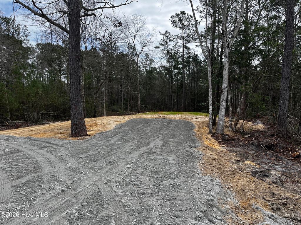 Photo of 677 S Windward Drive SW, Supply, NC 28462 (MLS # 100582614)
