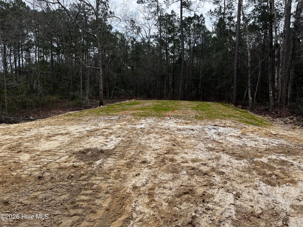 Photo of 677 S Windward Drive SW, Supply, NC 28462 (MLS # 100582614)