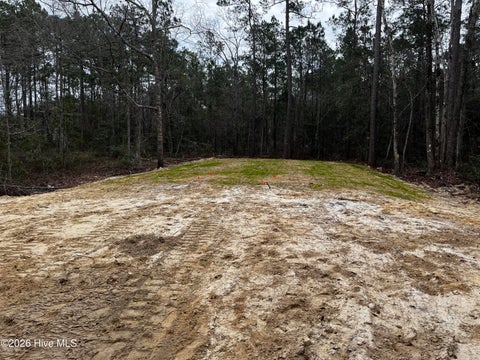 Tiny photo for 677 S Windward Drive SW, Supply, NC 28462 (MLS # 100582614)