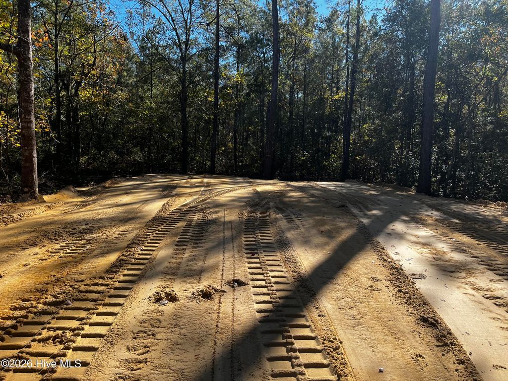 Photo of 677 S Windward Drive SW, Supply, NC 28462 (MLS # 100582614)