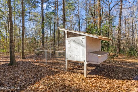 Tiny photo for 4472 Croomsbridge Road, Burgaw, NC 28425 (MLS # 100545679)