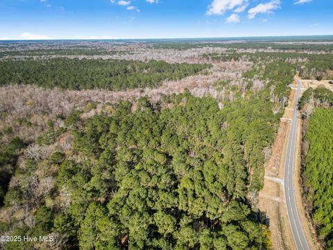 Tiny photo for 4472 Croomsbridge Road, Burgaw, NC 28425 (MLS # 100545679)