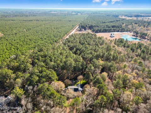 Tiny photo for 4472 Croomsbridge Road, Burgaw, NC 28425 (MLS # 100545679)