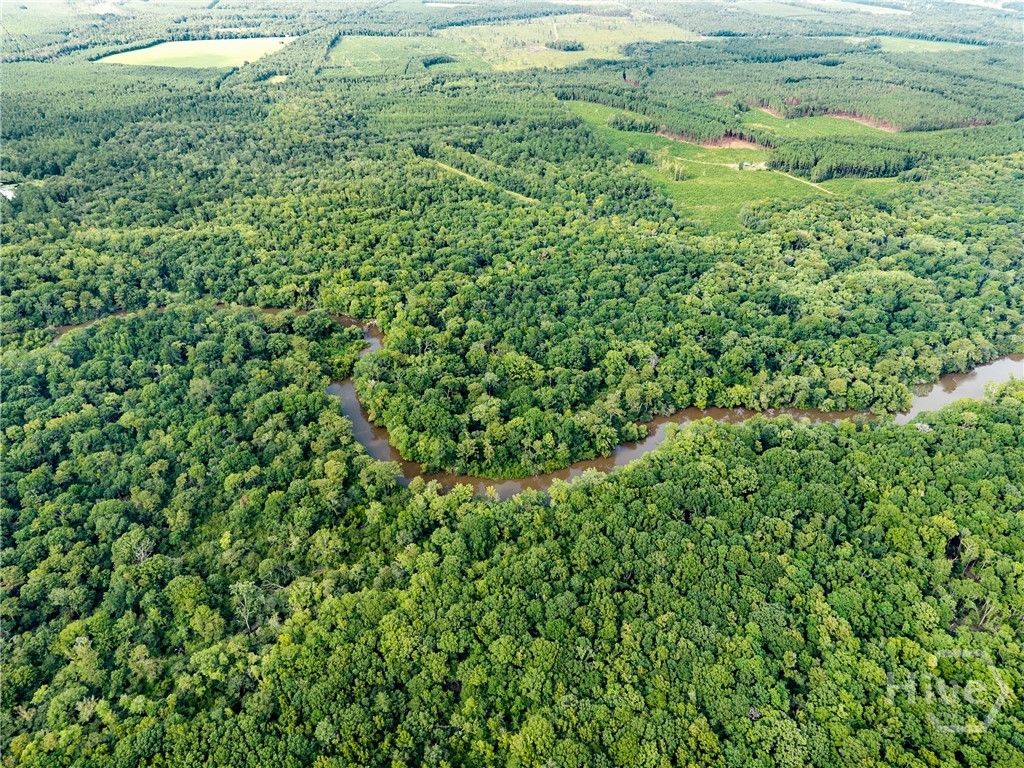 Photo of 0 Old River Rd N, Statesboro, GA 30461 (MLS # SA346734)