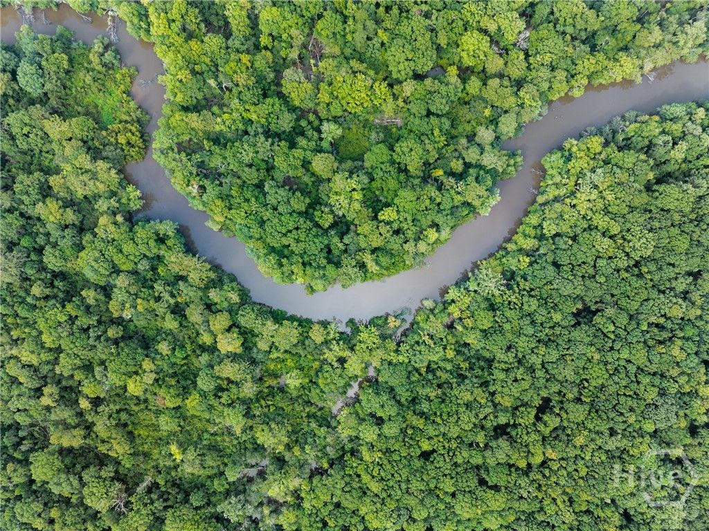 Photo of 0 Old River Rd N, Statesboro, GA 30461 (MLS # SA346734)