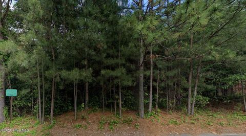 Vacant Land For Sale - 871 W Lowe Avenue<br/> Moore County, Southern Pines, NC 28387