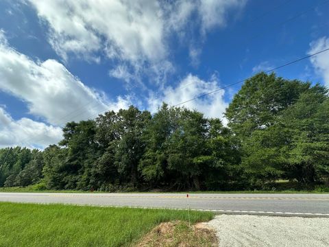 Vacant Land For Sale - LOT E S Ga Highway 23<br/> Waynesboro, GA 30830