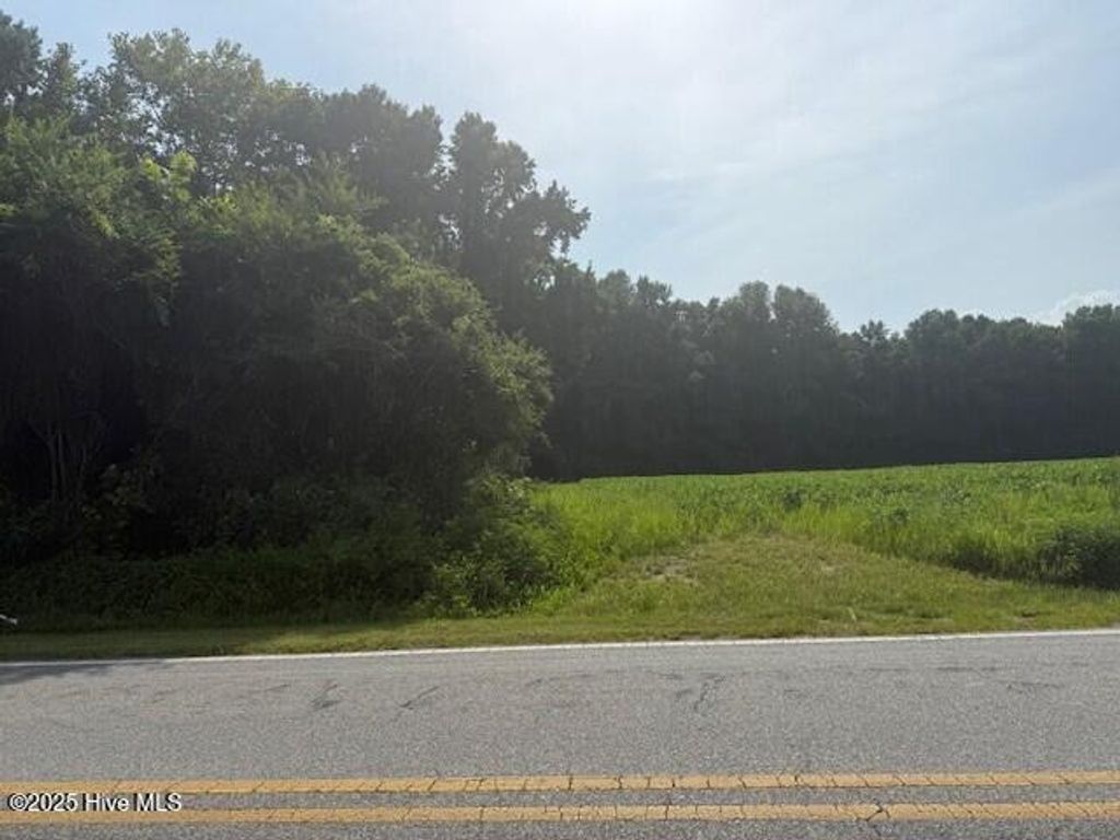 Photo of Tbd Wise Store Rd. Lot 4, Murfreesboro, NC 27855 (MLS # 100520561)
