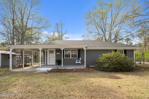 Photo of 149 Haws Run Road, Jacksonville, NC 28540 (MLS # 100579438)