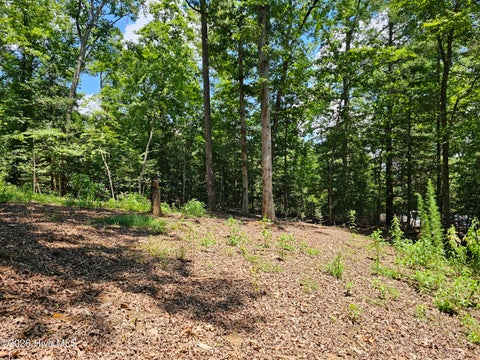 Vacant Land For Sale - LOT 10 Bobcat Lane<br/> Murphy, NC 28906