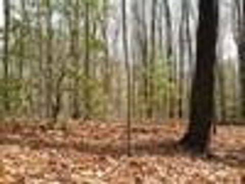 Vacant Land For Sale - LOT 25 N Laurel Mountain Drive<br/> Brasstown, NC 28902