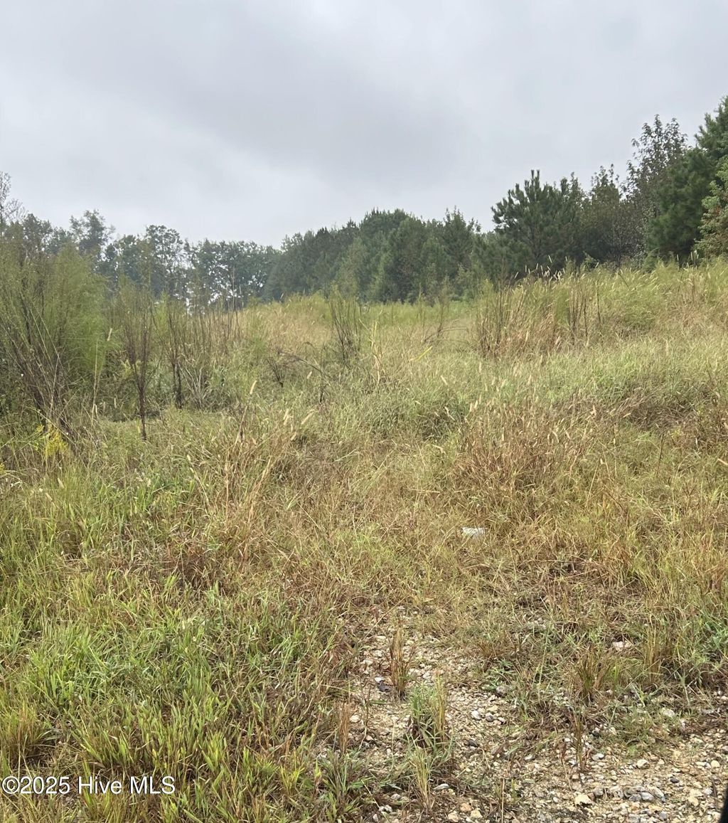 Photo of 1198 Pelham Road, Willard, NC 28478 (MLS # 100533539)