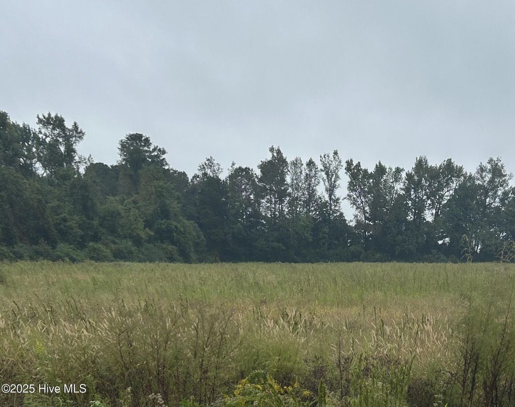 Photo of 1198 Pelham Road, Willard, NC 28478 (MLS # 100533539)