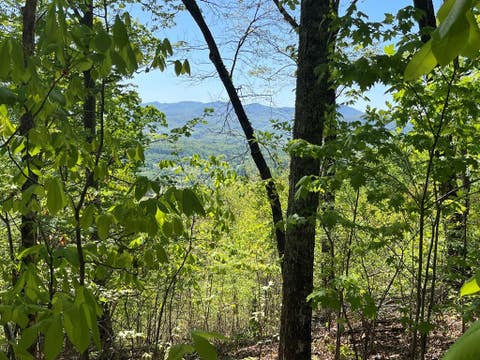 Vacant Land For Sale - LOT 11J Ash Branch View<br/> Hayesville, NC 28904