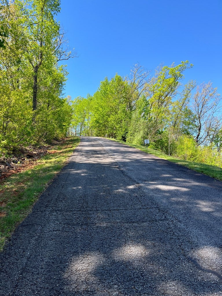 Lot 11j 11J Ash Branch View - Photo 2