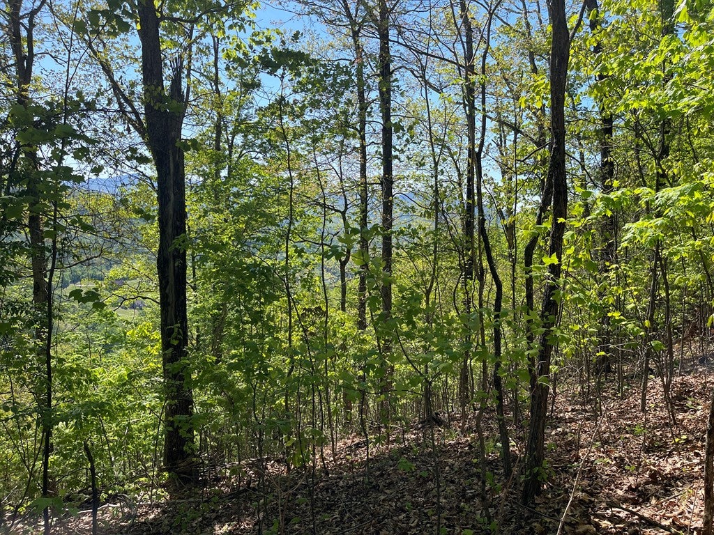 Lot 11j 11J Ash Branch View - Photo 3
